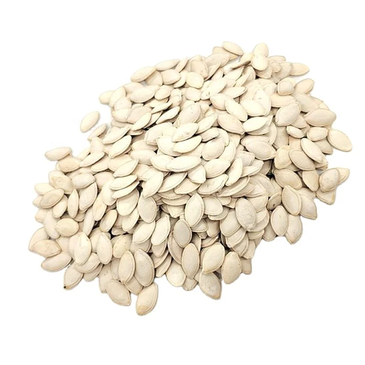 
Chinese Factory Direct Wholesale Shine Skin Pumpkin Seeds 