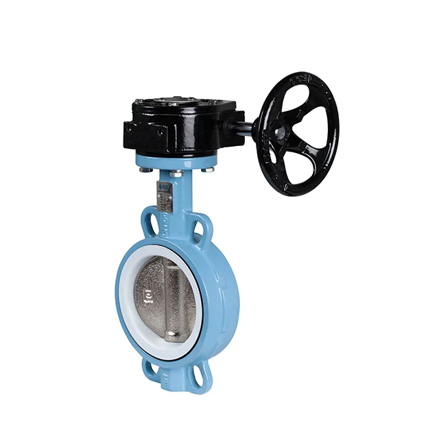 24 inch DN600 PN10/16 Worm Gear Ductile Iron Rubber Lined Concerntrice Flange Butterfly Valve For Water