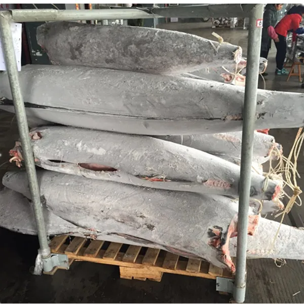 Natural fresh ocean fish frozen  blue marlin fish