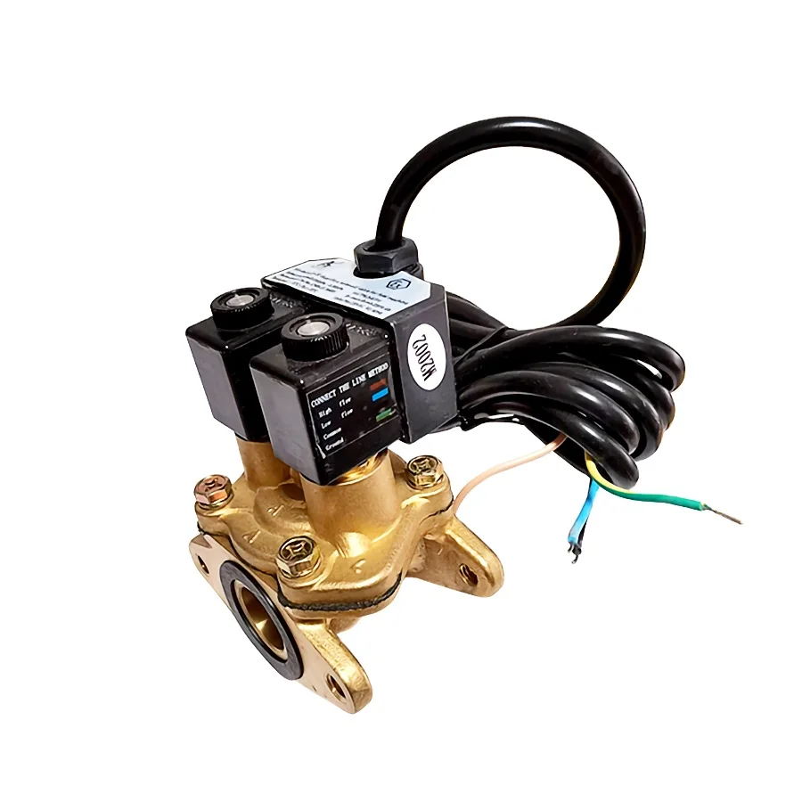 110V/220V --- Solenoid Valve
