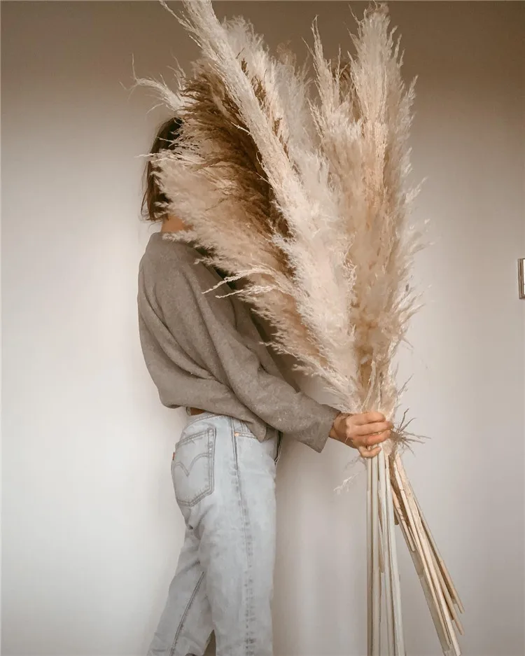 UO new arrivals natural artificial flowers large pampas gray pampas grass dried flower plume size 60cm boho decorative flowers