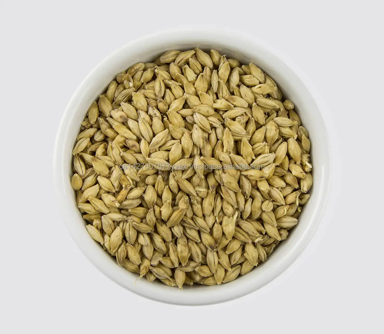 whole-super-pale-ale-malt.jpg