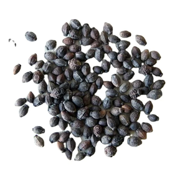 Натуральные зрелые высококачественные семена мирабилиса джалапы