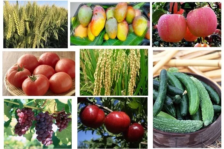 Plant Growth Regulator 98% TC Atonik