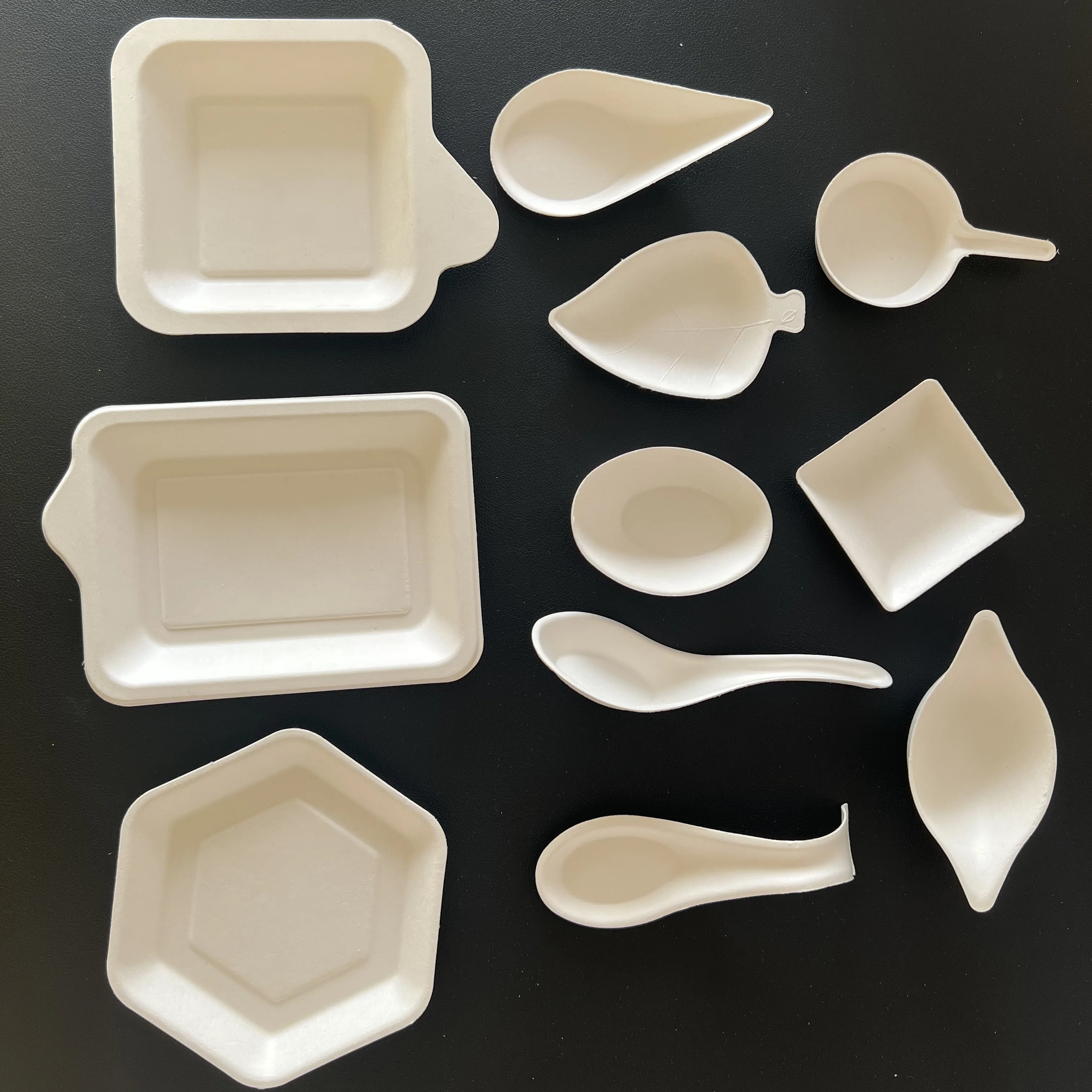 compostable takeaway lunch box disposable biodegradable sugarcane bagasse small mini food container