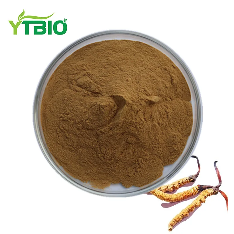 
Natural Cordyceps Sinensis Polysaccharide Powder Cordyceps Mycelium Extract 