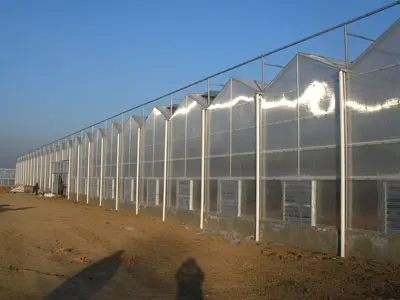 
Complete Large Strawberry hydroponic polycarbonate sheet Multifunctional Agriculture Greenhouse 
