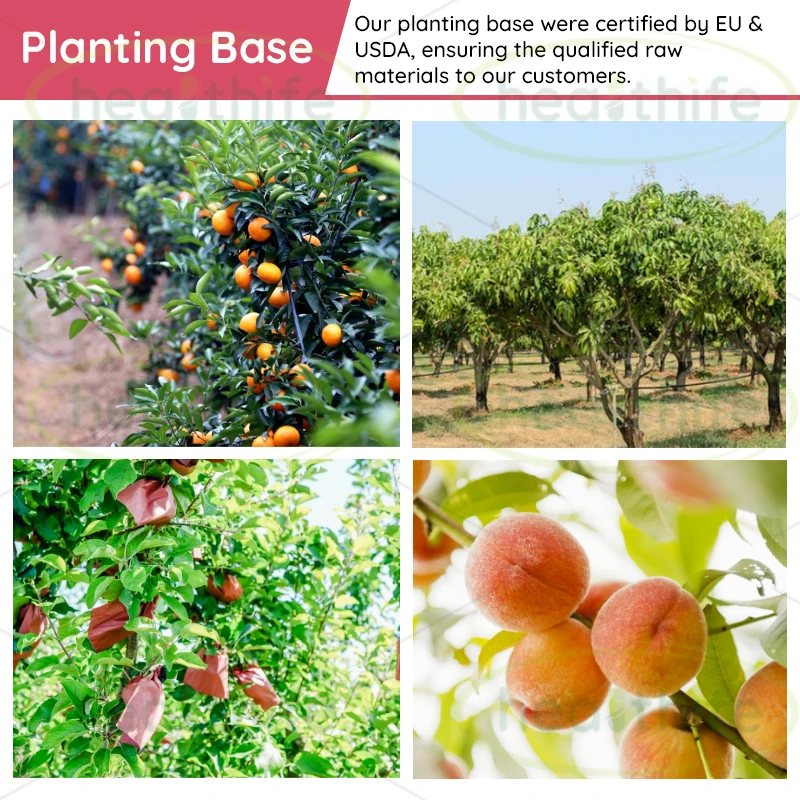 Healthife по лучшей цене натуральный экстракт семян облепихи масло облепиховое