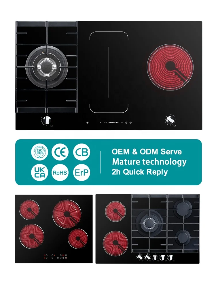 China Factory Home Kitchen Appliances Piano Cottura Ceramic 4 Burners Ceramic Glass Built-in Electric Cooker