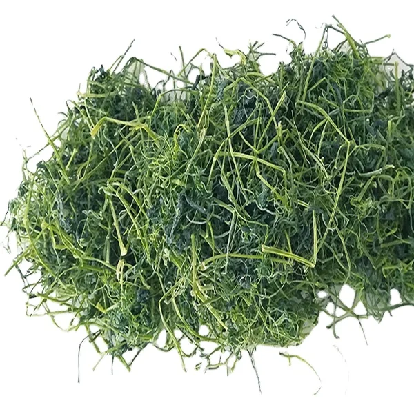 High Quality Jiaogulan Tea  Pentaphyllum Gynostemma Tea