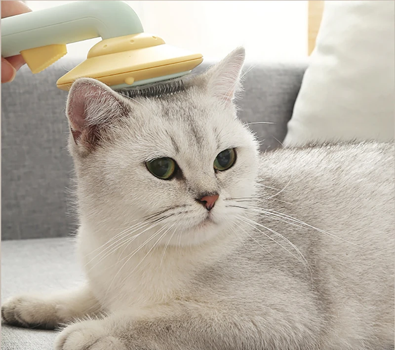 Factory Wholesale High Quality  Massage Pin Self Cleaning Pumpkin Pet Cat Dog Brush Comb