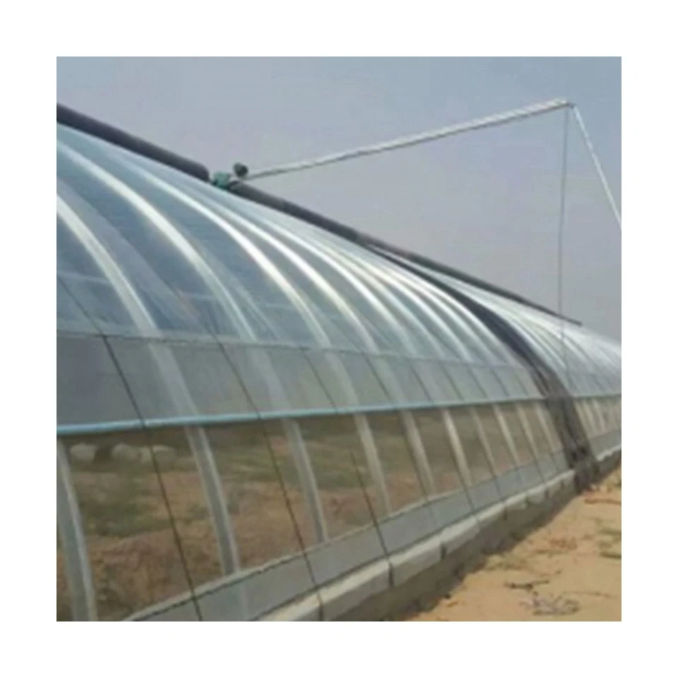 Promotional various  in-solar greenhouses agricultural greenhouses green house greenhouse