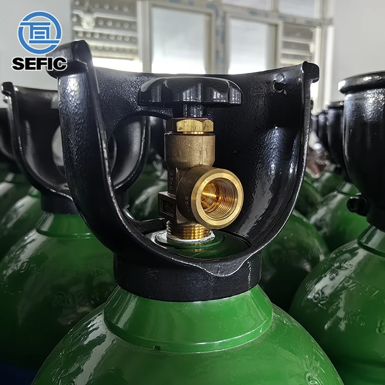 TUV TPED Approved 200bar 50L High Pressure Steel Argon Gas Cylinder Bottle