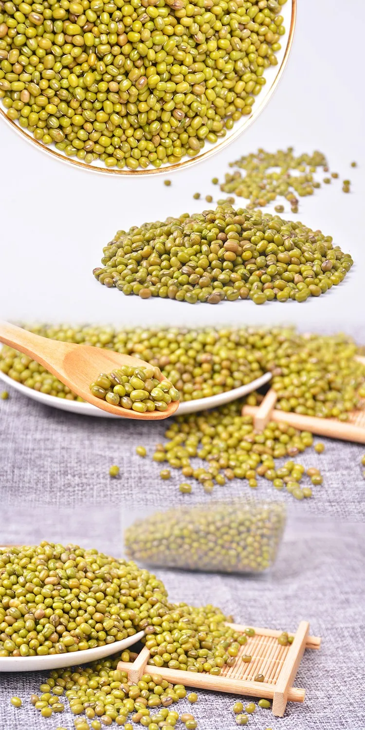 
High Grade New Corp Organic Green Mung Beans 