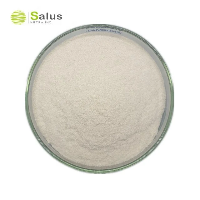 Salus Provide Best Price Chitosan Powder Chitosan