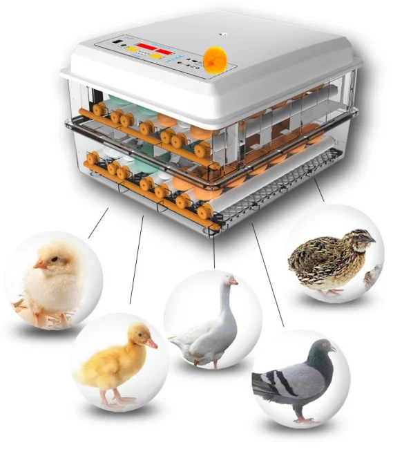 Птицефабрика использует двойной мощности 120 инкубатор для вылупления яиц с автоматической высокой скоростью инкубатора