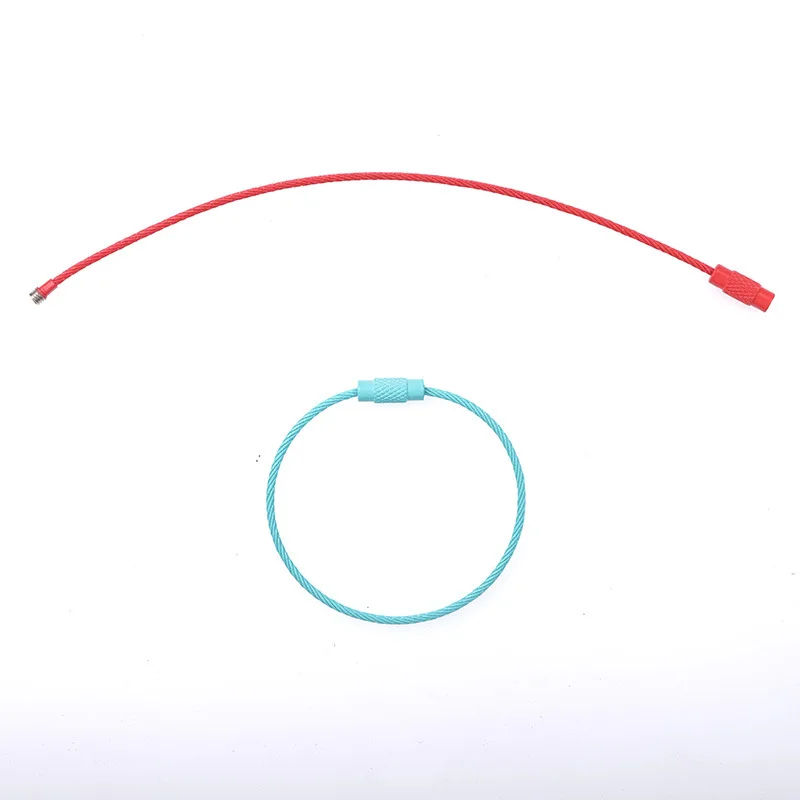 Color Paint Screw Lock Stainless Steel Wire Car Key Chain Cable Key Ring Key Chain Elevator Cable Outdoor Key Chain