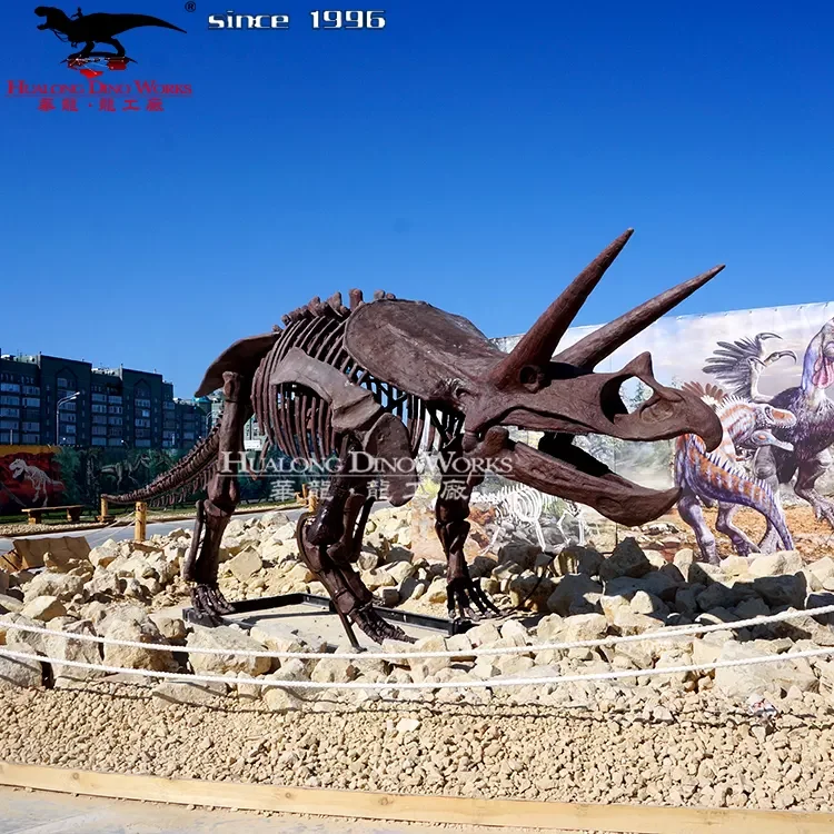 High quality simulation dinosaur fossil model of dino park