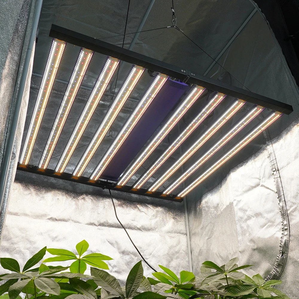 Shenzhen Port Fast Delivery Lm301H Evo Full Spectrum 4000K 720W 1000W Eco 720 Best Led Grow Light Bar 720W Manufacture