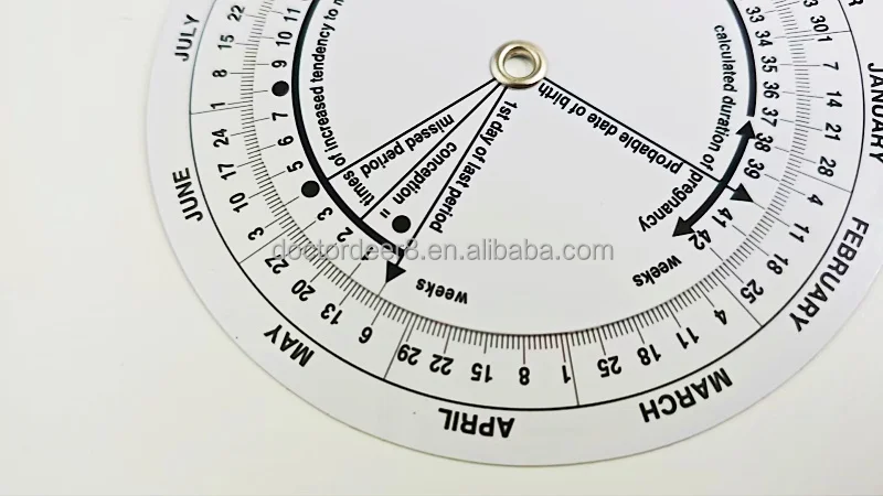 Customizable Plastic Obstetrics Wheel Calculator Gestation Born Date Chart Due Date Pregnancy Disc for Hospital/Clinic Use