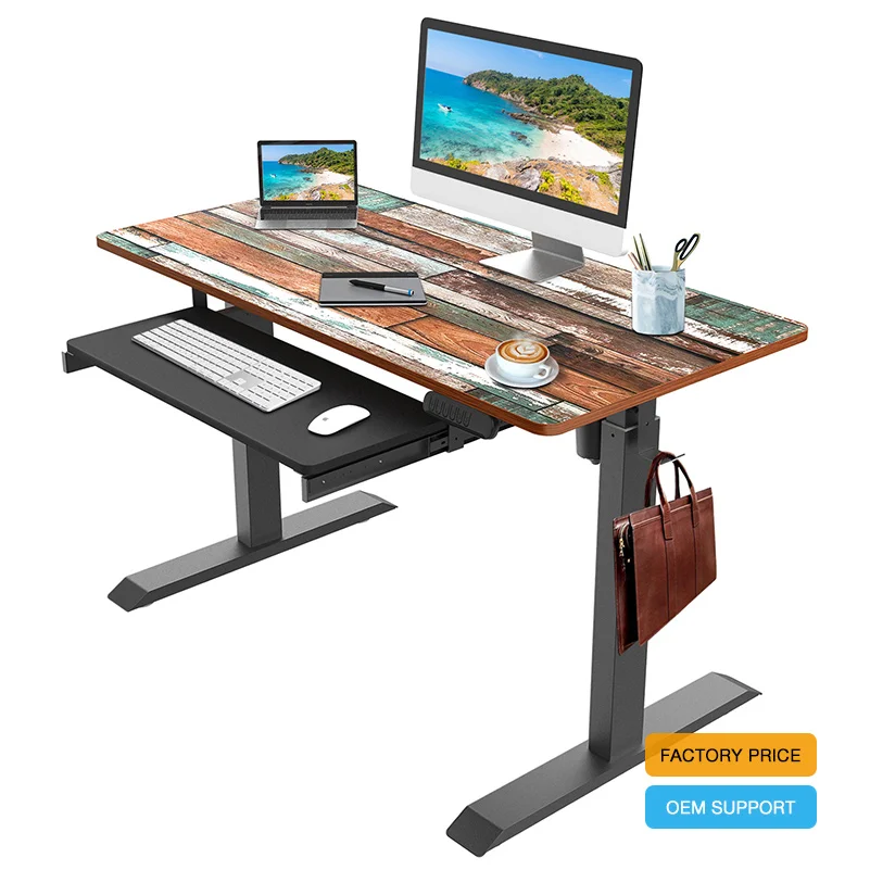 Ergonomic Electric Height Adjustable Standing 120 x 60 cm Computer Desk & Workstation Table Sit Stand Up Desk