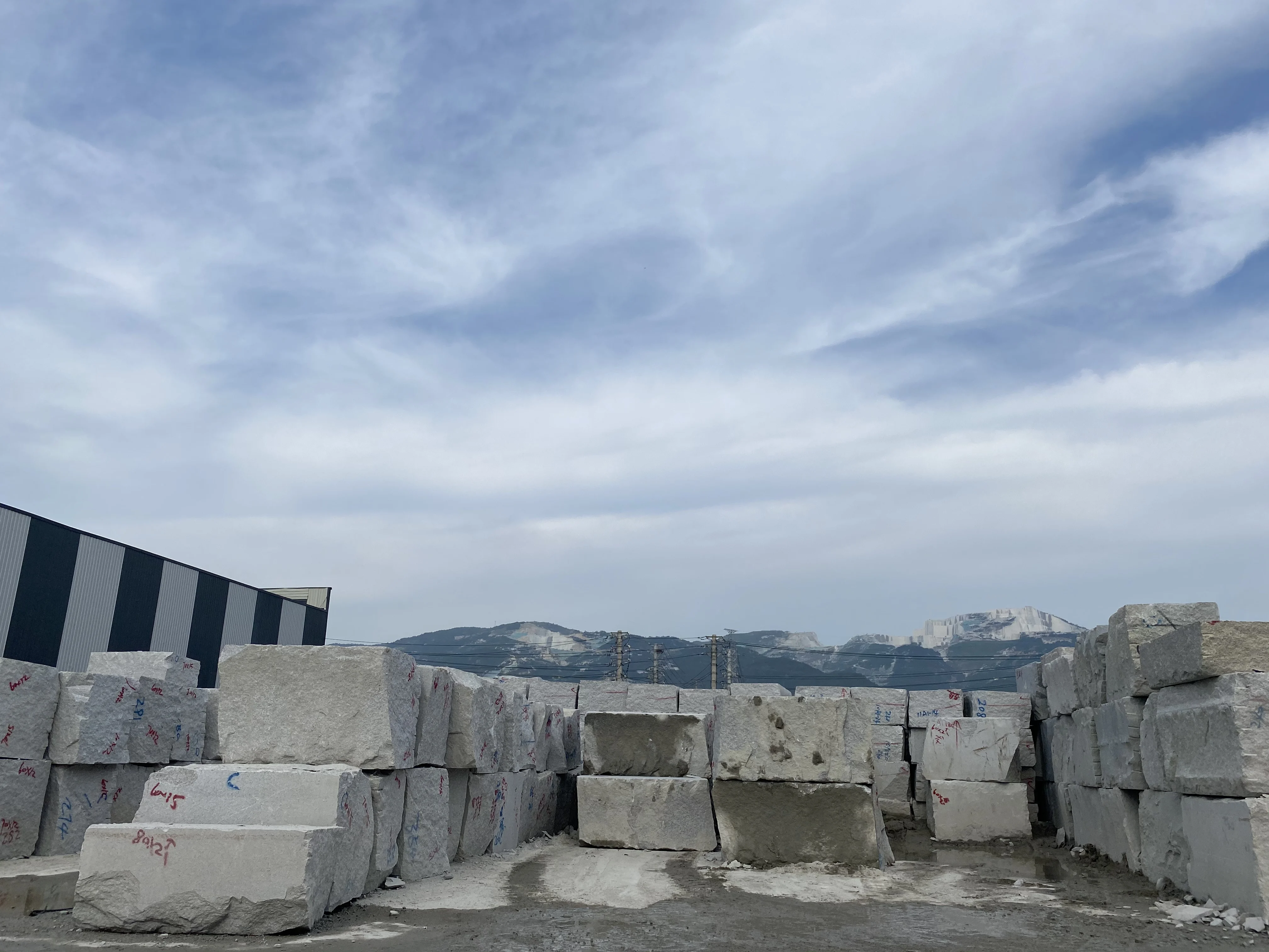 New Qaurry Granite Natural Stone Granite Tile for Sales