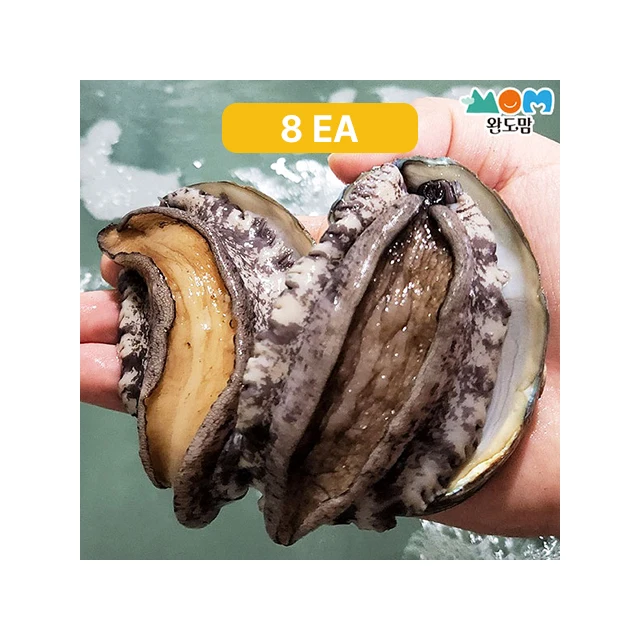 [WANDOMOM] Good Quality Make It Fresher Well Made Hot Selling Delivered Directly To The Customer Wandomom Live Abalone 1kg 8ea