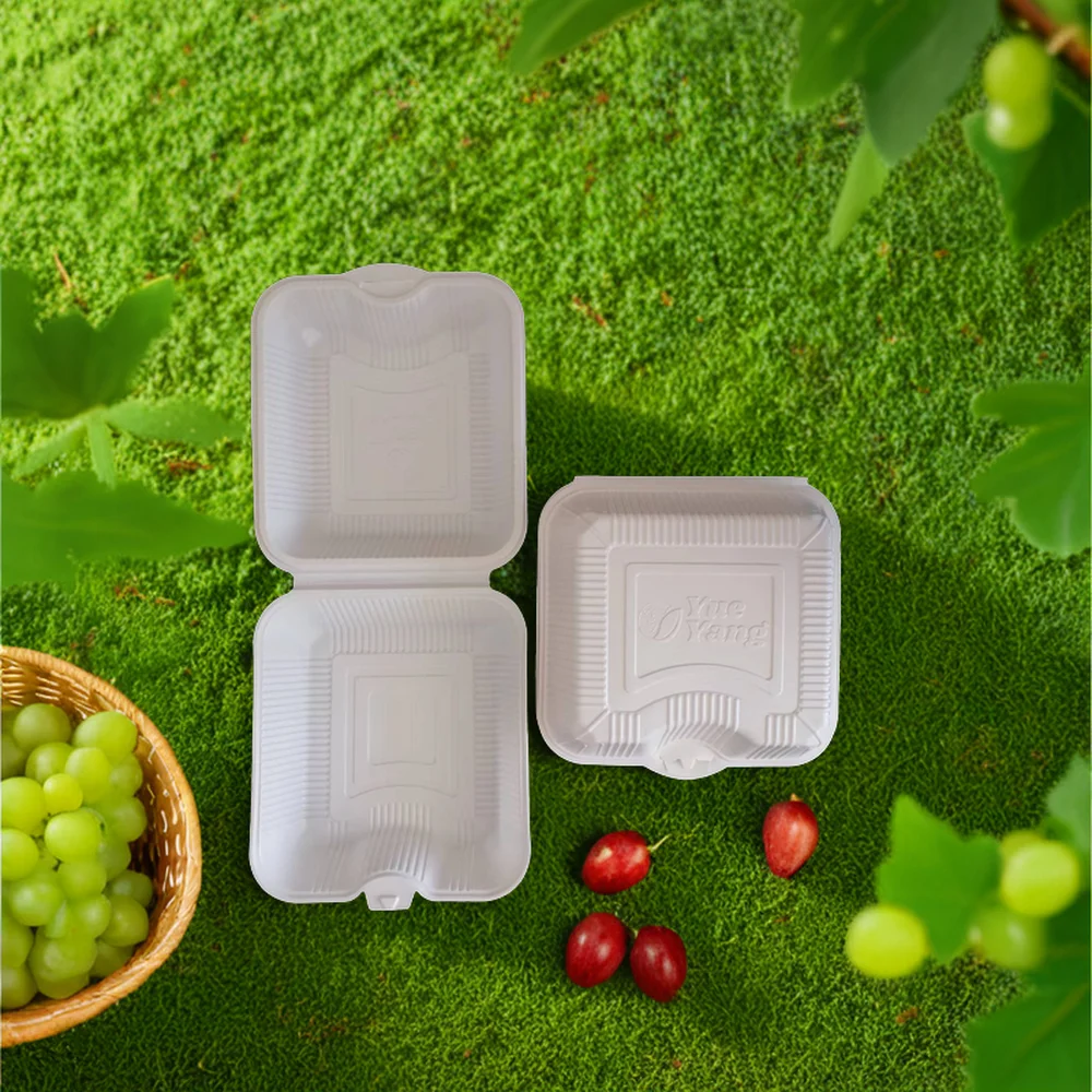Design Food Grade Takeaway Freezer Plastic Rotisserie Chicken Box With PP Lid