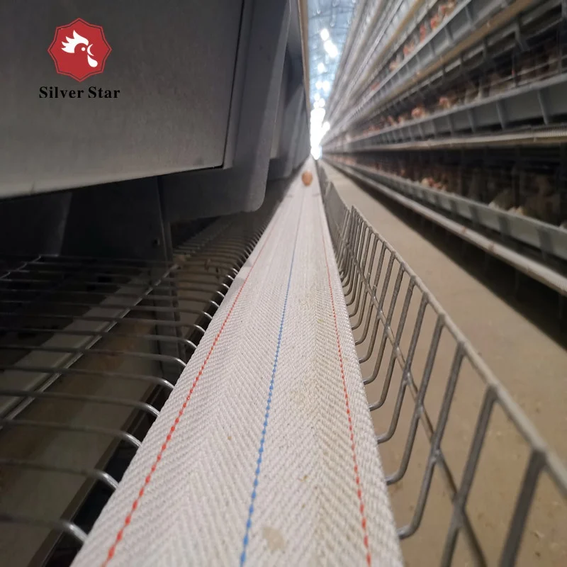 Battery cages laying hens poultry farm house design chicken coop in Malaysia