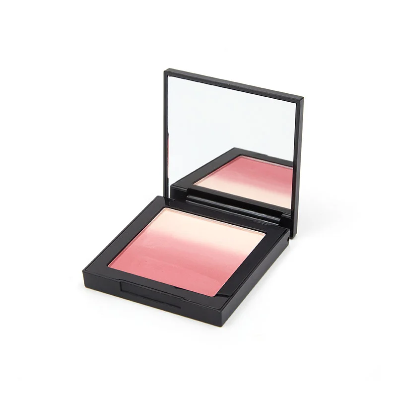 Sainreal Loose powder blush palette private label logo Powder blush New Gradient Blush