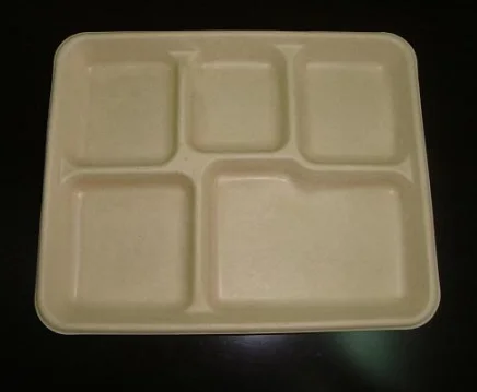 disposable paper pulp tableware/biodegradable food container