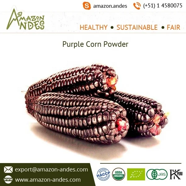 Wholesale Seller of Purple Corn Powder with Medicinal Properties