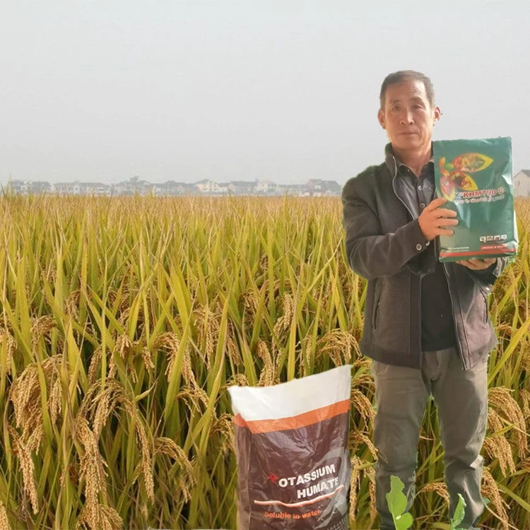 
Soluble Humic Acid Flakes Natural Leonardite/Lignite pupuk kalium humate 