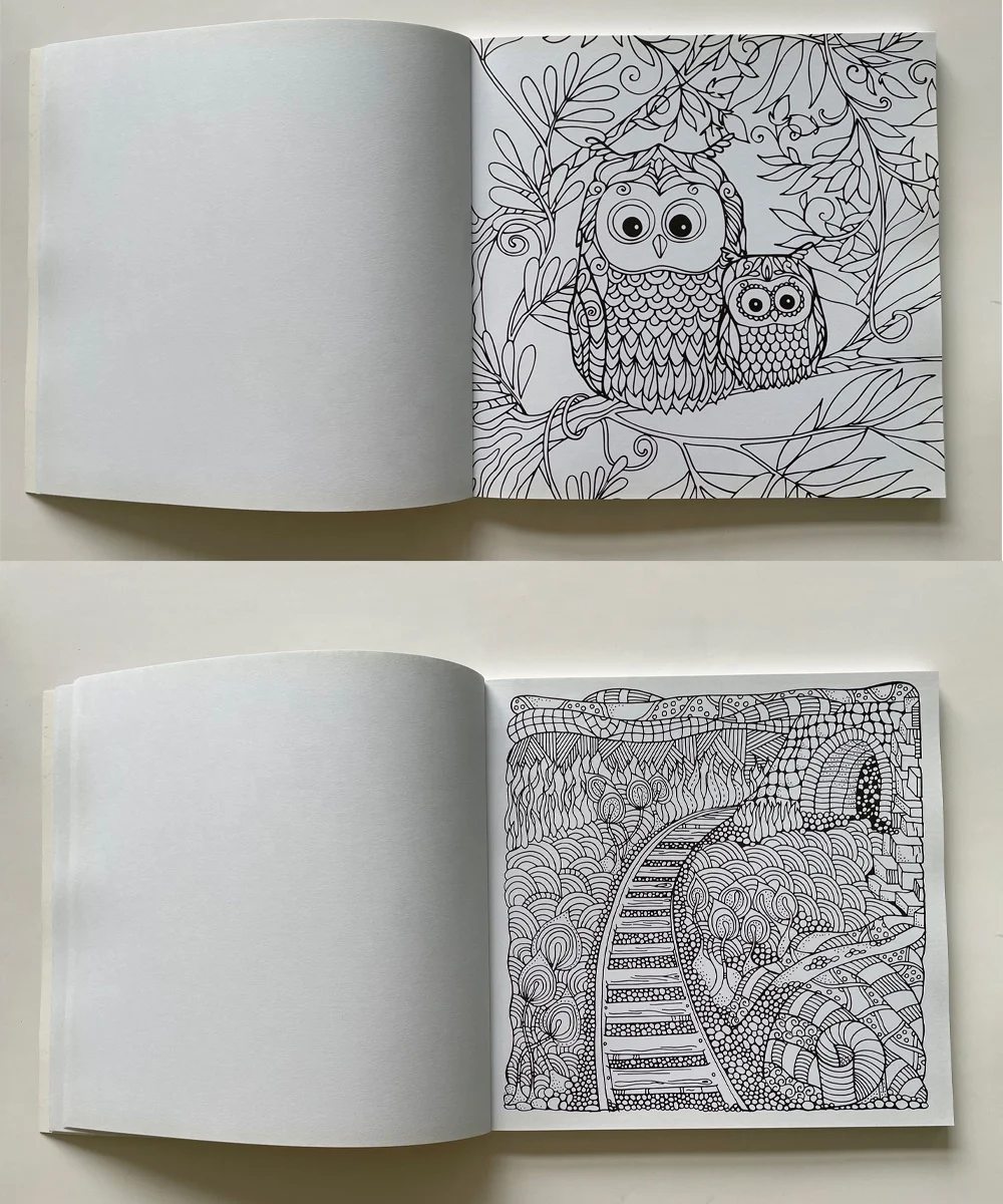 2021 hot sale adult coloring book set painting book with 24 color pencils softcover drawing book factory customized