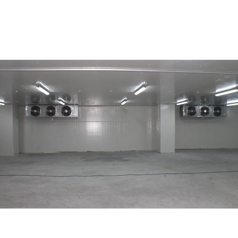 Factory direct price cold room for fish and meat blast freezer keeping things fresh cold room for fruit concentrate drums