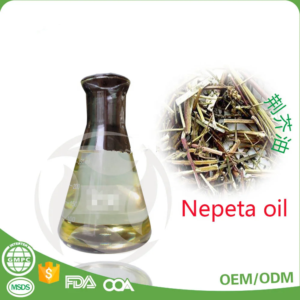 Nepeta Oil Pure Natural Plant Extract Essential Oils Pharmaceutical Raw Material Catnip Essential Oil