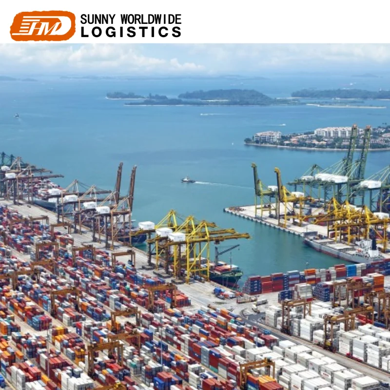 Морской экспедитор из Китая в Hutchinson США с DDP обслуживанием от двери