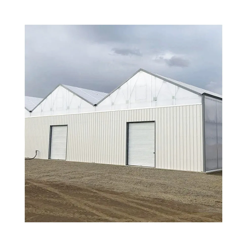 Automated Blackout Multi-span Polycarbonate Sheet Retractable Roof Light Deprivation Tomato Tunnel Greenhouse