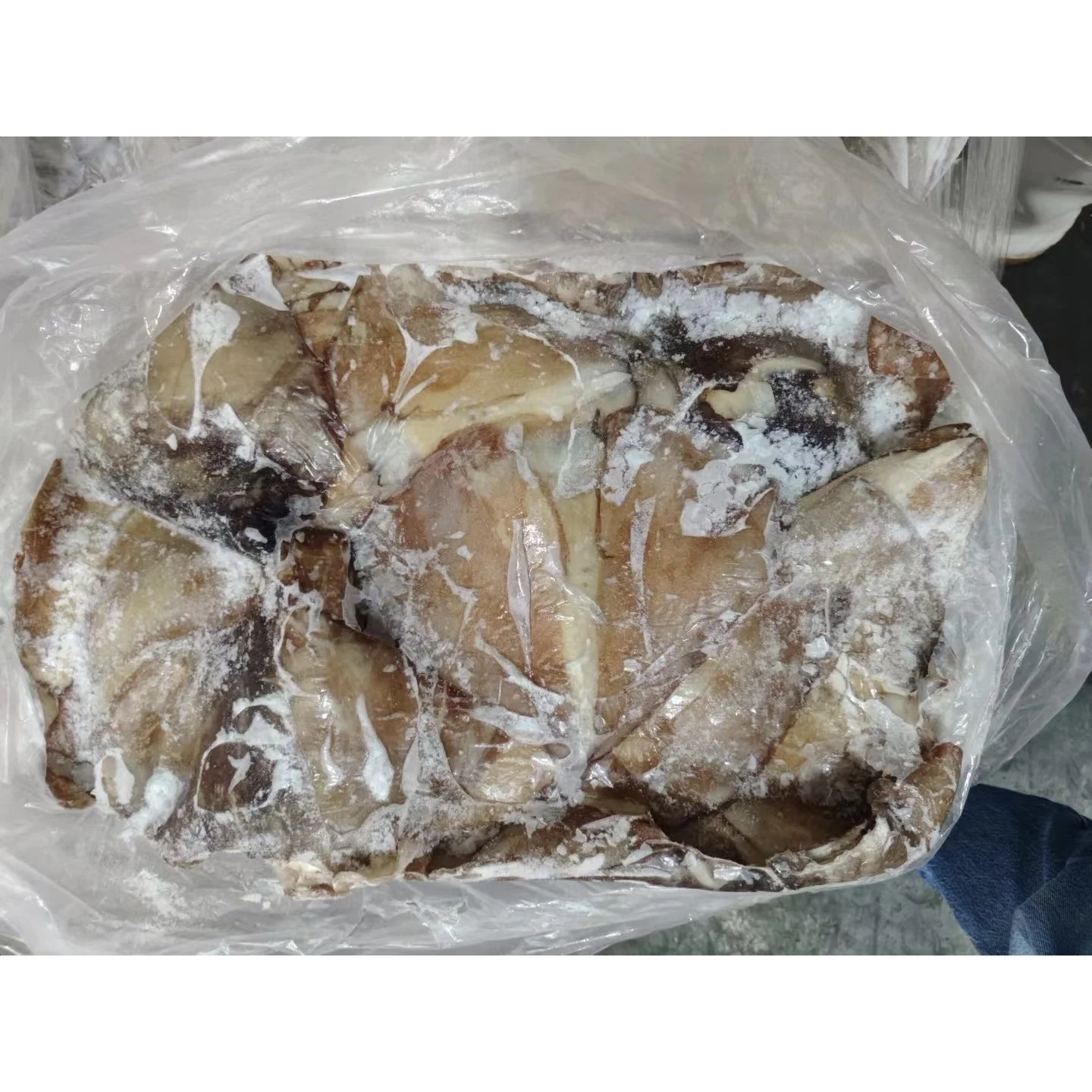 Frozen Seafood 1-2kg BQF Frozen Squid Wings/Ear