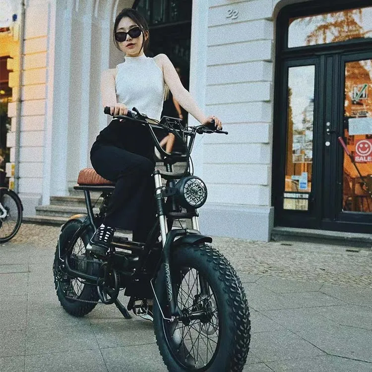 EU US Warehouse Ebike Fat Tire Electric City Bike E-bike Aluminum Alloy 48v Electric Fat Tire Bike