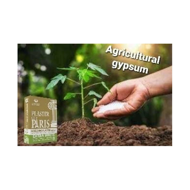 High Quality Natural Agricultural Gypsum Powder soil improver Origin Egypt Size (0 -250 mesh) Packing :25 &40 kgs