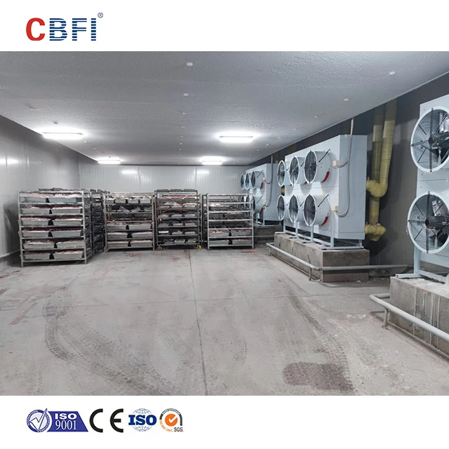 blast freezer refrigerated container cool room freezer container cold storage walk in cold room cold room panels keep fresh