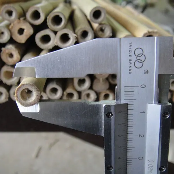 Bamboo cane for garden plant support