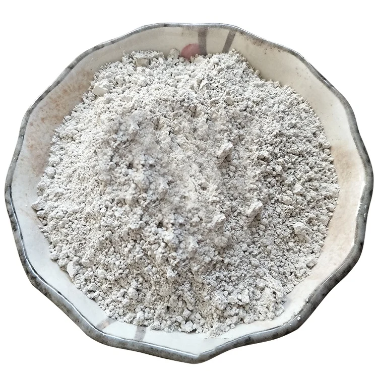 Фабрика Китая напрямую поставляет недорогой диатомитовый порошок для покрытий