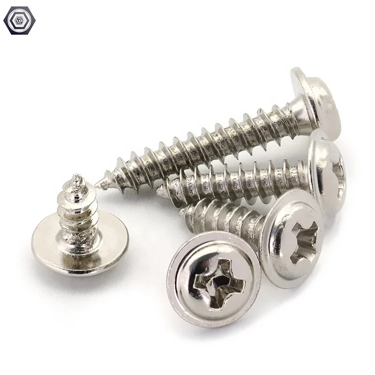 Stainless Steel Cross Round Head Pan Head Self Tapping Screws and Phillips Drive Self Tapping Cap Screws