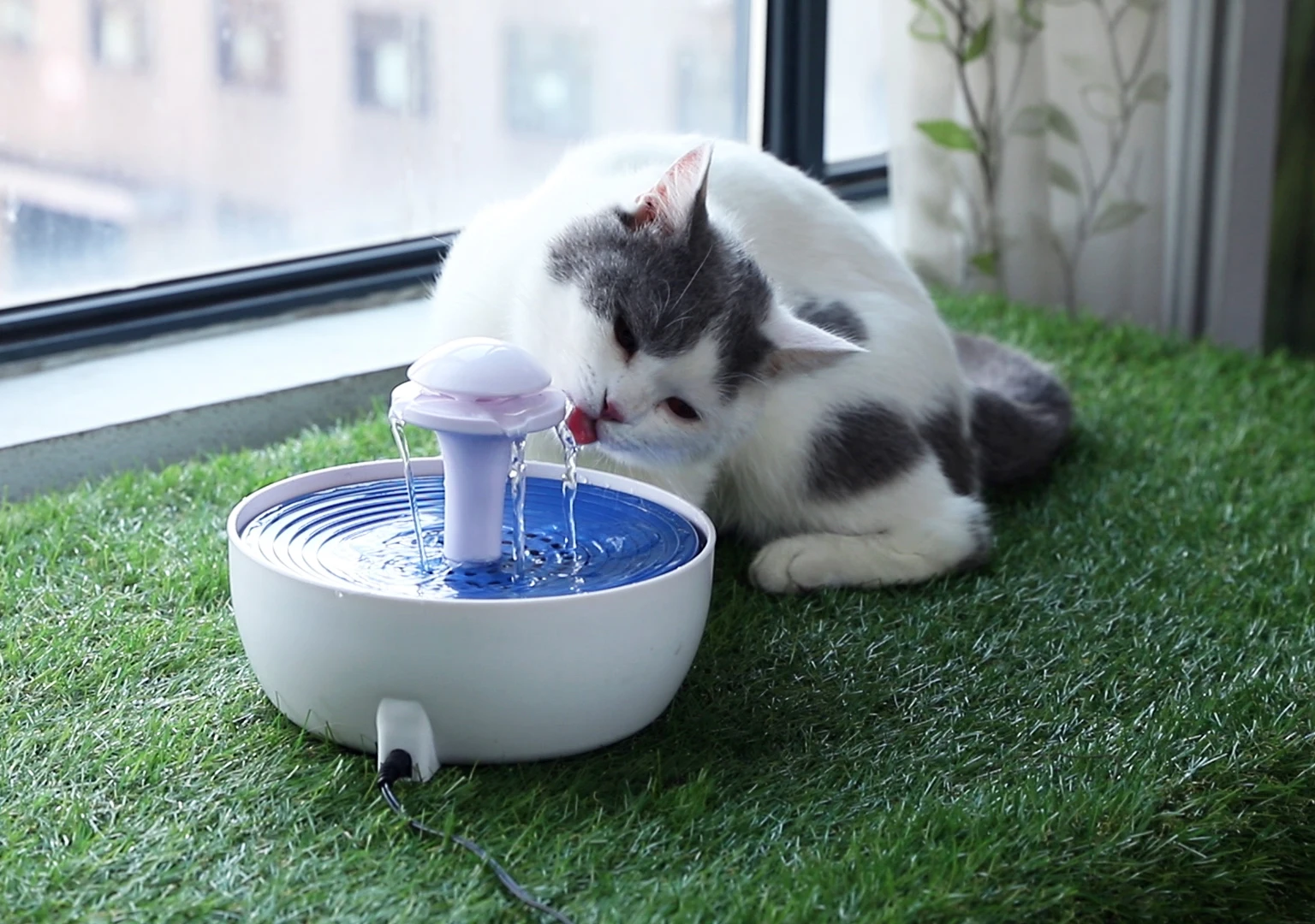  Made4Pets инвентаризации собака Питьевая вода Фильтры ABS Электрический автоматический фонтан воды