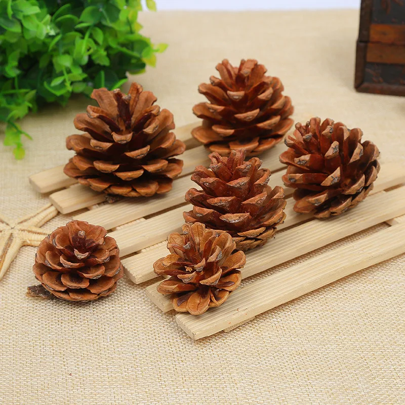 1-18CM Pine Cones Christmas Decorations: Creative Hanging Ornaments,  Dried Pine Cones for Holiday Displays and Photography