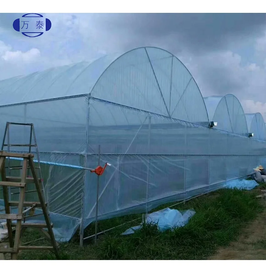 Factory price PO Film Single Span Greenhouse For Agriculture Easy Installation