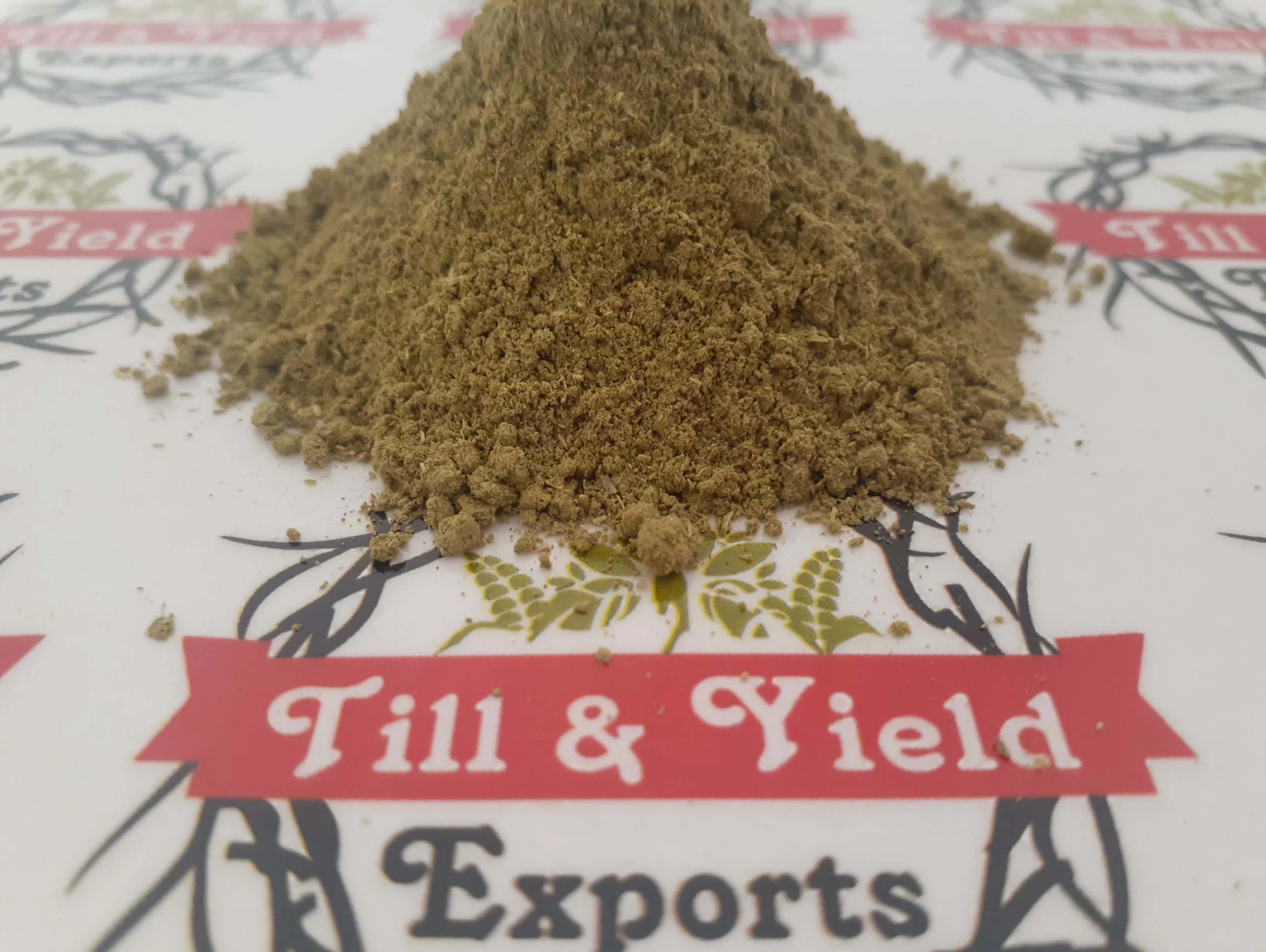 Peppermint Powder Mentha Arvensis Powder Pudhina Mint Leave Powder Useful To Relieve Spasm & Pain In Intestines