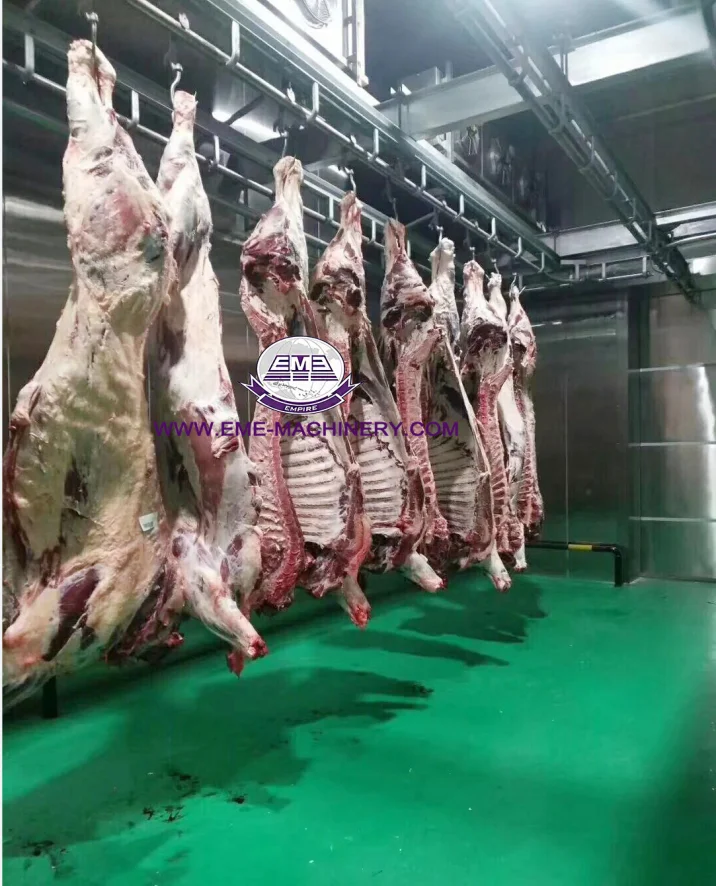Complete Beef Slaughterhouse Line of Bovine Cattle Abattoir Hook For Slaughtering Equipment